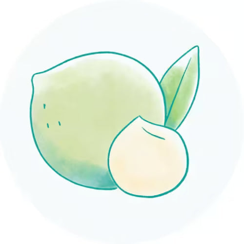 Óleo da Semente da Macadâmia