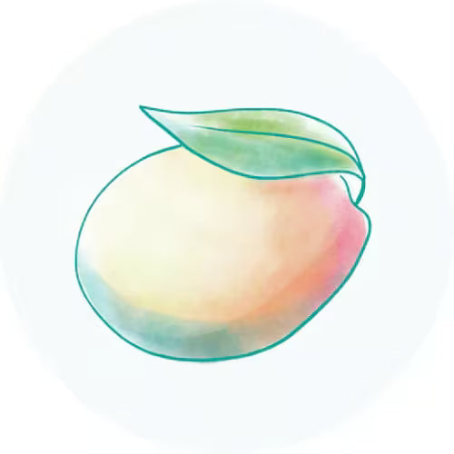 Óleo da semente da Manga