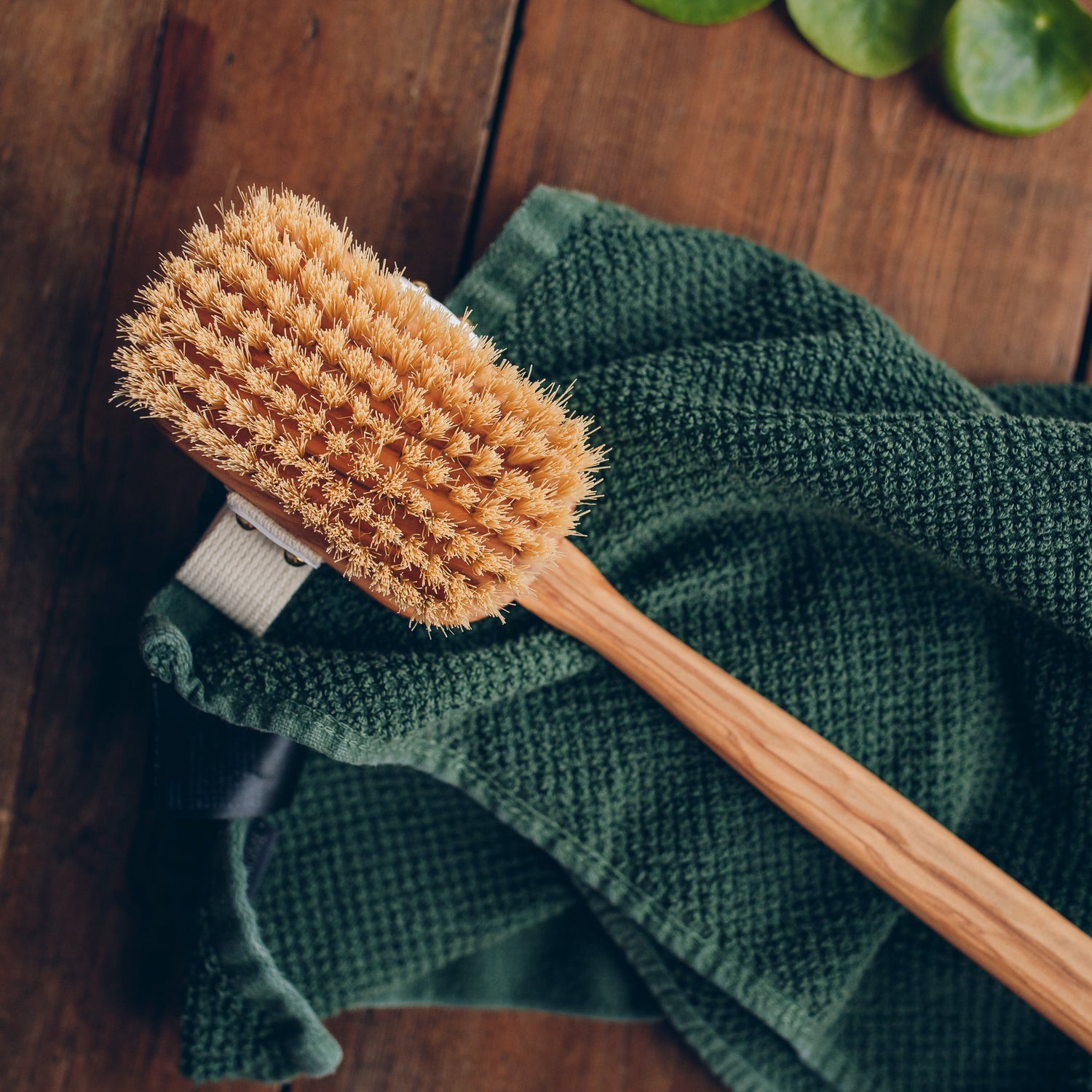 Brosse sèche pour le corps Castorluvie